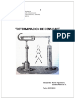 Informe Fluidos Densidad