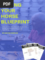 Pony Club C Test Guidelines | PDF | Horse Gait | Horses