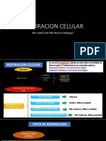 Respiracion Celular I