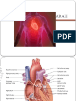 Anatomi Pembuluh Darah Kel.1 d4