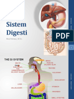 Sistem Digesti