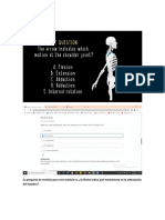 Musculos Contenido Preguntas y Test