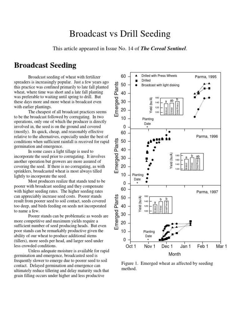 Broadcast Vs Drill Seeding Sentinel 14 | PDF | Seed | Wheat
