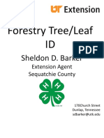 Forestry Tree Leaf ID Book