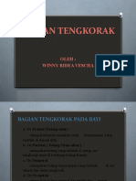 Bagian Tengkorak