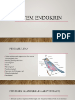 Sistem Endokrin Baru