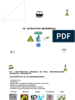 T 02 Estructura - Microbiana 181A
