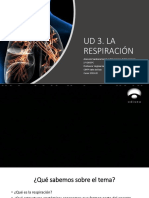 UD 3. La Respiracion