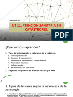 UT 11. Atención Sanitaria en Catástrofes