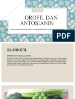 Klorofil Dan Antosianin - Anisa Indah