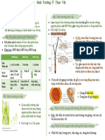 Biology Mindmap