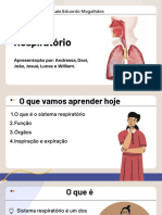 Sistema Respiratório