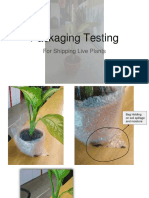 Plant Packaging Solution