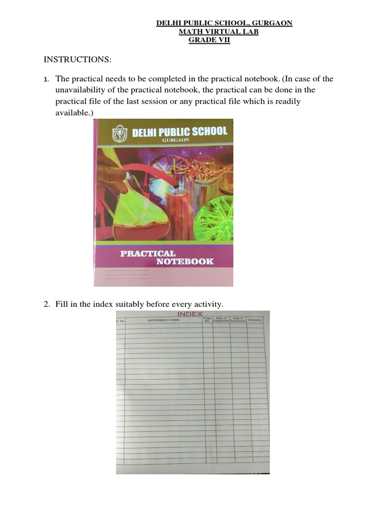 Class 7 Math Lab: Fraction Activity 1 | PDF