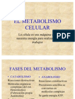 EL_METABOLISMO_CELULAR