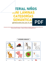 Producto 11. Mini Láminas Categorías Semánticas