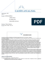 Planificación Anual P.D.L 2020