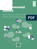 UNDP Report On Environmental Justice