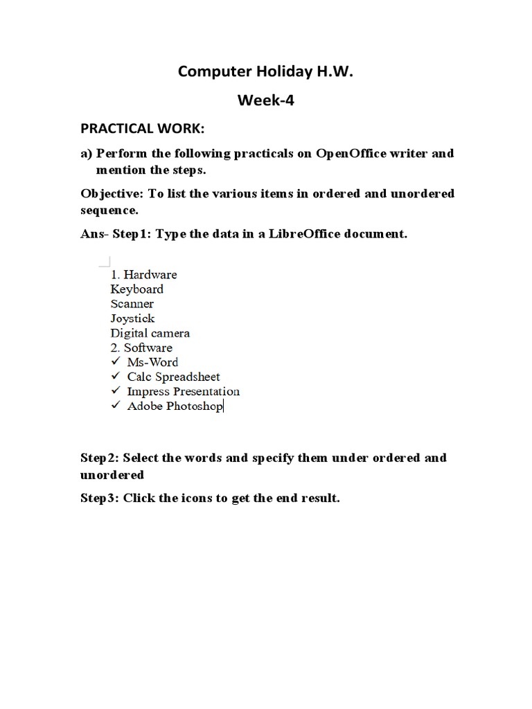 Computer Holiday H.W. Week-4: Practical Work | PDF