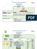 Planificación - Pice - Preparatoria - Semana 17