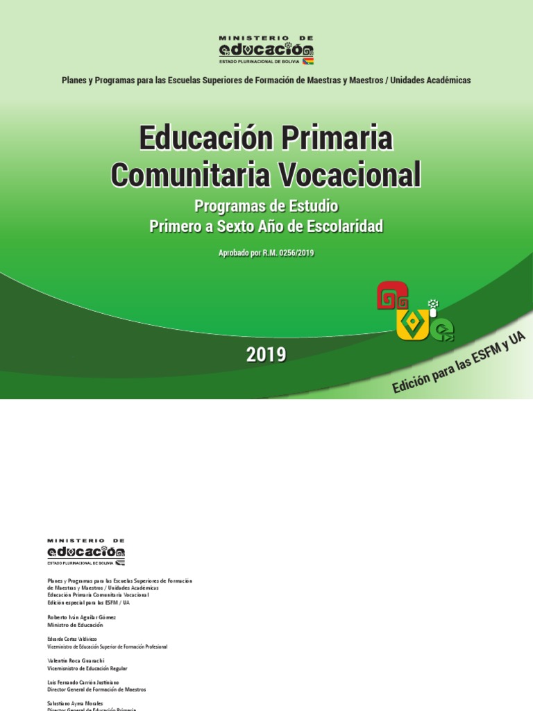 Planes y Programas Educación Primaria | PDF | Plan de estudios | Escritura
