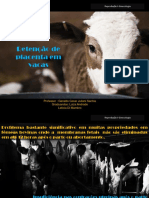 Retenção placentária vacas