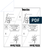 Insectos y aracnidos