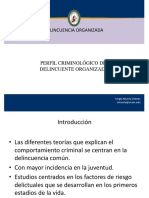 Delincuencia Organizada: Sergio Murcia Orenes Smurcia@ucam - Edu