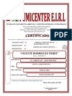 Certificado - Vicente