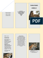 Threatened Animals - Folder