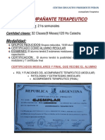 Acompañante Terapeutico Cepp