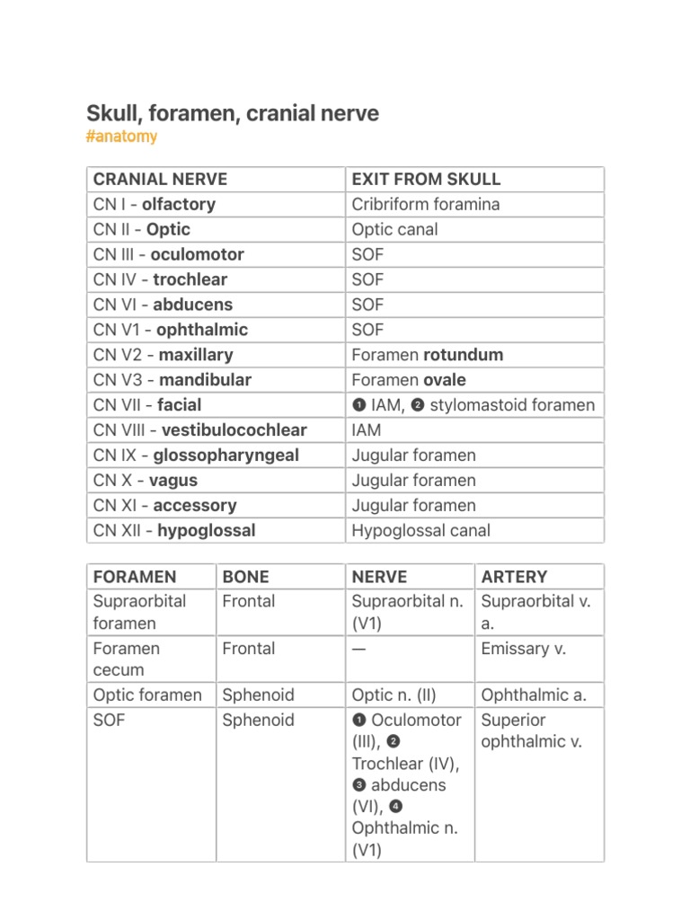 Cranial Nerves and Their Exit Points from the Skull: A Comprehensive 