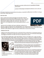 Stem Cells Assignment 