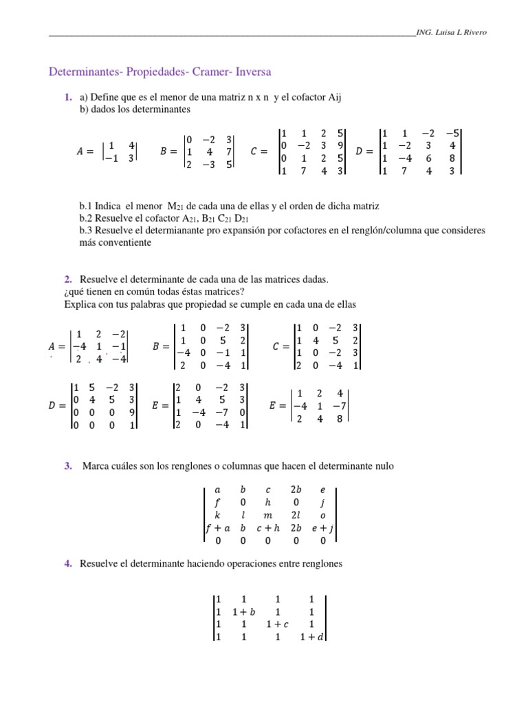 TRABAJO PRACTICO Determinantes - Cramer - Inversa de LLR | PDF ...