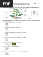 CBSE Class 2 EVS Practice Worksheets (18) - Plants | PDF | Plants | Trees