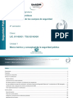 Unidad 1. Marco teorico y conceptual de la Seguridad Publica