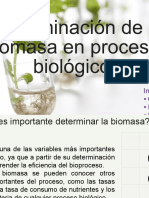 Determinación de La Biomasa