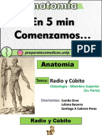 Miembro Superior OK Osteologia - Radio y Cubito