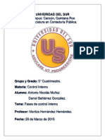 Proyecto Final de Control Interno