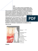 Generalidades Periodonto de Incercion