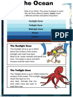 Ocean Layers: Sunlight Zone Twilight Zone Midnight Zone Abyss Trench