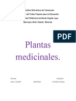 Plantas Medicinales2