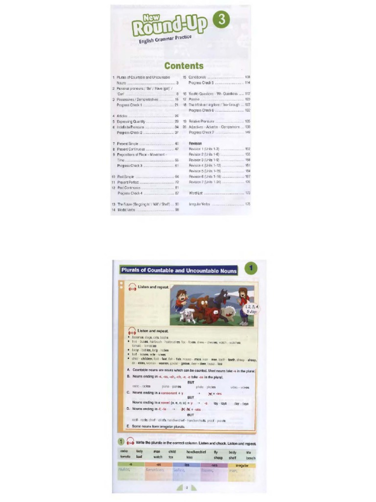 New Round Up 3 Student Book | PDF