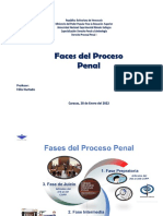 Fases Del Proceso Penal