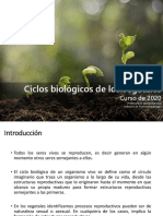 Ciclos Biologicos de Los Vegetales