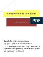 Composición Del Protoplasma Celular