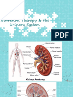 2022 Nutrition Therapy & Urinary System PPT#1