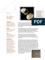 Moon Snail Ecology and Life Cycle