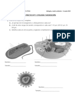 TP Citología y Microscopía