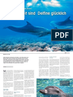 Artikel Delphinarien Welt-der-Tiere DE